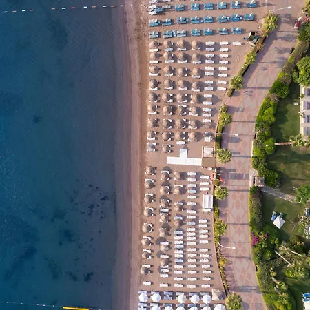 Marti La Perla - Adult Only+16