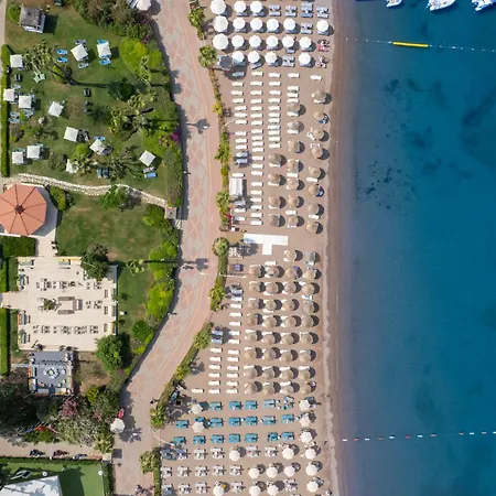 Semesteranläggning (resort) Marti La Perla - Adult Only+16 4*